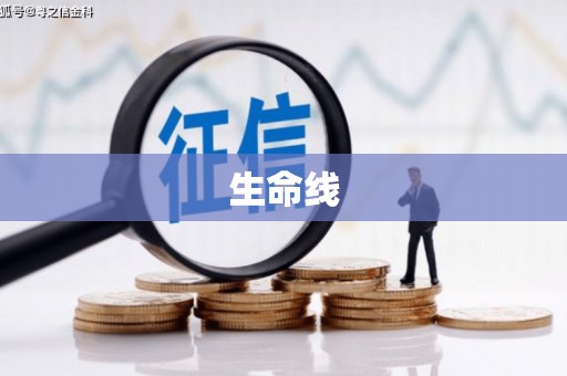 龙陵生命线