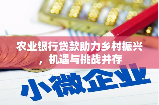 龙陵农业银行贷款助力乡村振兴，机遇与挑战并存