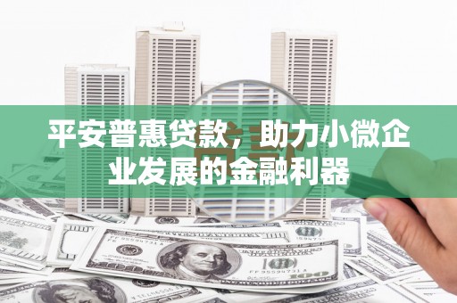 龙陵平安普惠贷款，助力小微企业发展的金融利器