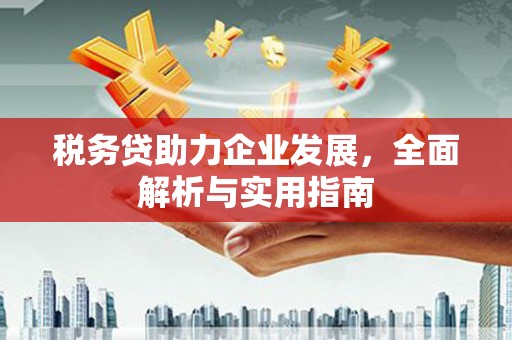 龙陵税务贷助力企业发展，全面解析与实用指南