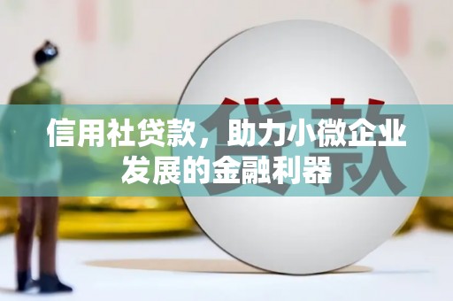 龙陵信用社贷款，助力小微企业发展的金融利器