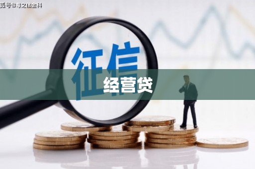 龙陵经营贷