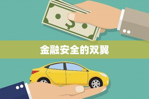 龙陵金融安全的双翼