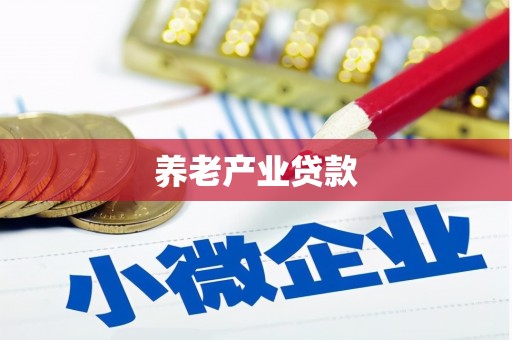 龙陵养老产业贷款