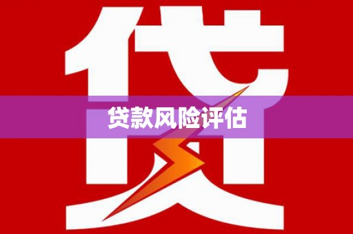 龙陵贷款风险评估