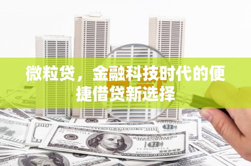 龙陵微粒贷，金融科技时代的便捷借贷新选择