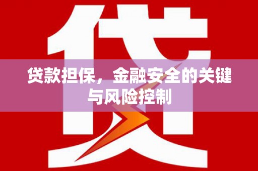 龙陵贷款担保，金融安全的关键与风险控制