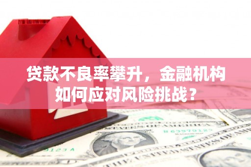 龙陵贷款不良率攀升，金融机构如何应对风险挑战？