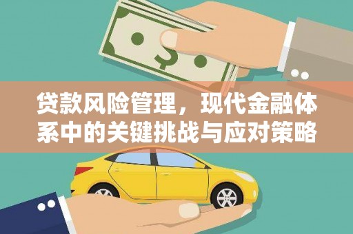 龙陵贷款风险管理，现代金融体系中的关键挑战与应对策略