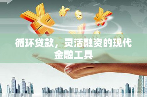 龙陵循环贷款，灵活融资的现代金融工具
