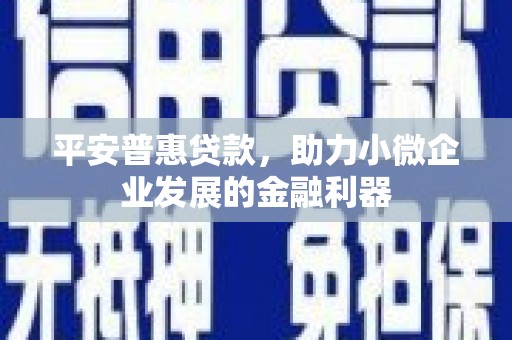 龙陵平安普惠贷款，助力小微企业发展的金融利器