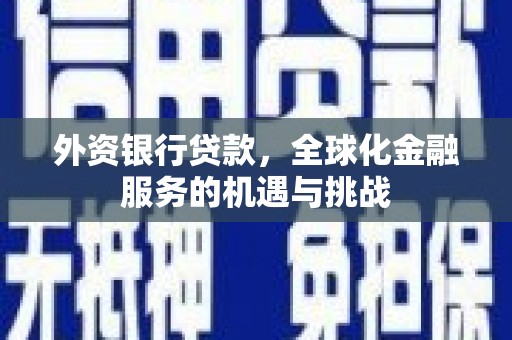 龙陵外资银行贷款，全球化金融服务的机遇与挑战