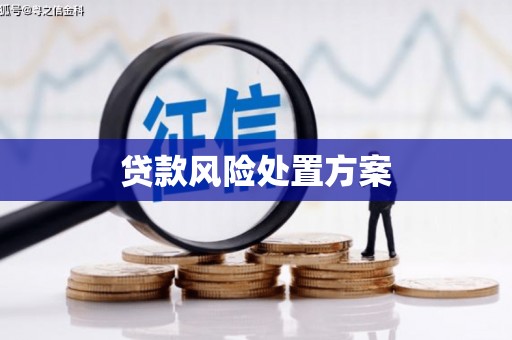 龙陵贷款风险处置方案
