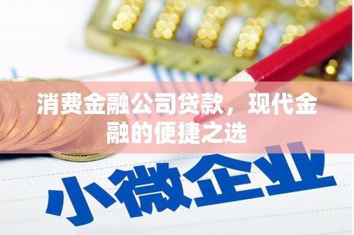 龙陵消费金融公司贷款，现代金融的便捷之选