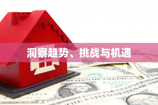 龙陵洞察趋势、挑战与机遇
