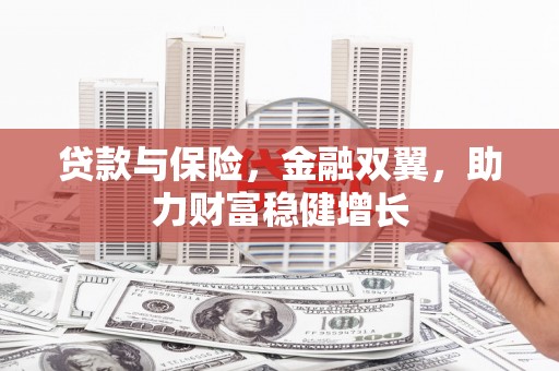 龙陵贷款与保险，金融双翼，助力财富稳健增长