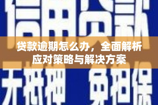 龙陵贷款逾期怎么办，全面解析应对策略与解决方案