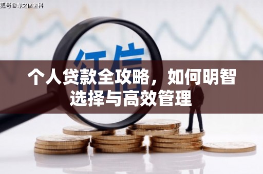 龙陵个人贷款全攻略，如何明智选择与高效管理