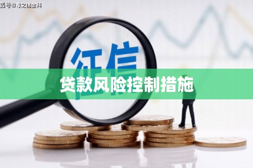 龙陵贷款风险控制措施