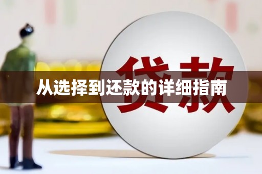 龙陵从选择到还款的详细指南