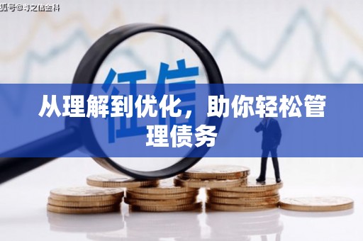 龙陵从理解到优化，助你轻松管理债务