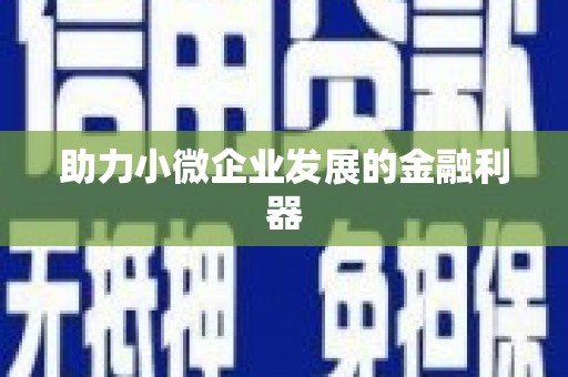 龙陵助力小微企业发展的金融利器