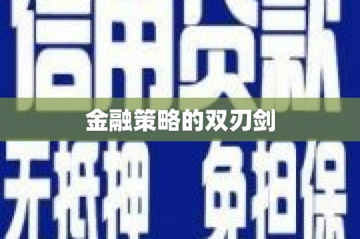 龙陵金融策略的双刃剑