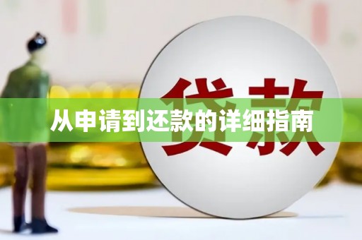 龙陵从申请到还款的详细指南