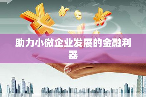 龙陵助力小微企业发展的金融利器