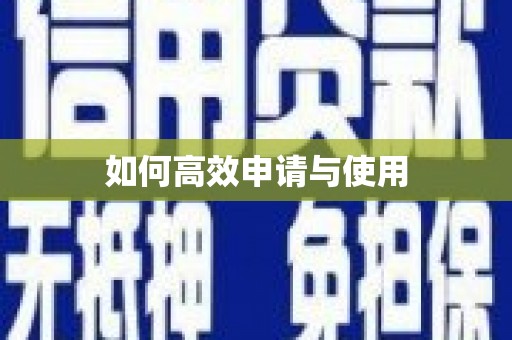 龙陵如何高效申请与使用