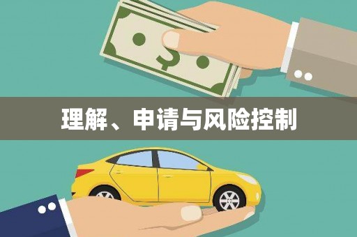 龙陵理解、申请与风险控制