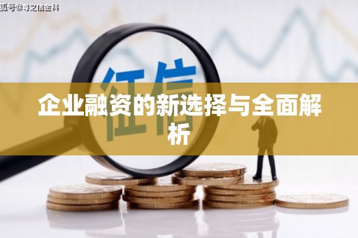 龙陵企业融资的新选择与全面解析