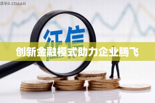 龙陵创新金融模式助力企业腾飞