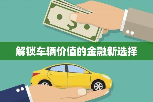 龙陵解锁车辆价值的金融新选择