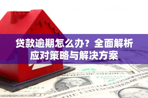 龙陵贷款逾期怎么办？全面解析应对策略与解决方案
