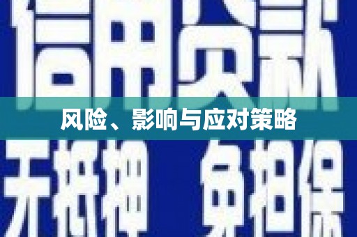龙陵风险、影响与应对策略