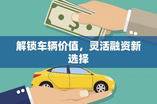 龙陵解锁车辆价值，灵活融资新选择