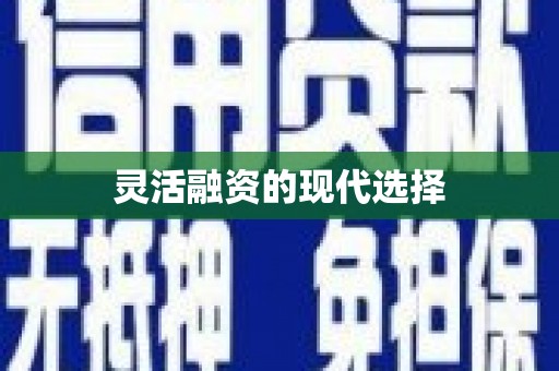 龙陵灵活融资的现代选择