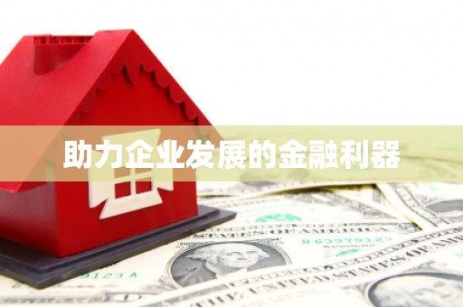 龙陵助力企业发展的金融利器
