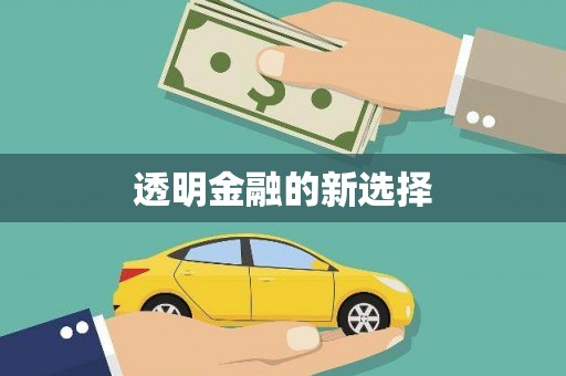 龙陵透明金融的新选择