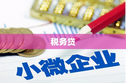 龙陵税务贷