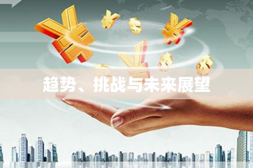 龙陵趋势、挑战与未来展望