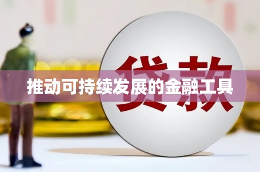 龙陵推动可持续发展的金融工具