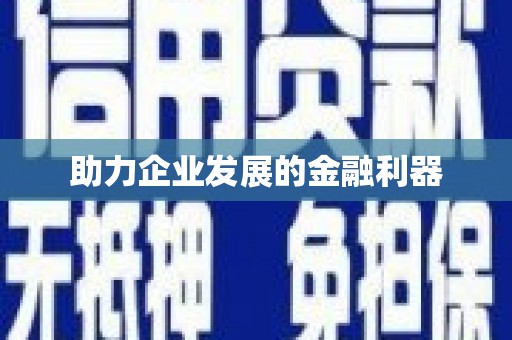 龙陵助力企业发展的金融利器