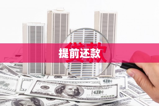 龙陵提前还款