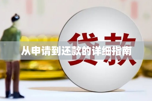 龙陵从申请到还款的详细指南