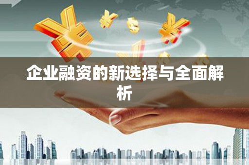龙陵企业融资的新选择与全面解析