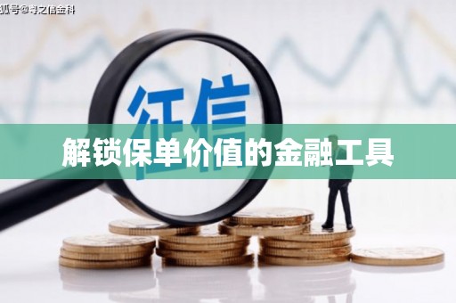 龙陵解锁保单价值的金融工具