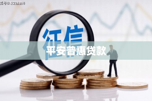 龙陵平安普惠贷款